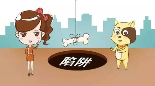 科技中介服務 告別傳統中介費，服務與保障從何而來？