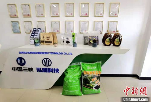 科技賦能長江生態修復 岸上綠意盎然，水中碧波重現